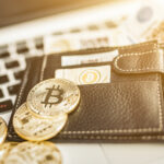 5 Best Crypto Wallets of 2021